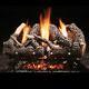 Fireside America Heritage Char Vent Free 24 Gas Logs With Variable Control Ng