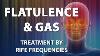 Flatulence U0026 Gas Rife Frequencies Treatment Energy U0026 Quantum Medicine With Bioresonance