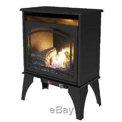 Freestanding Dual Fuel Stove Heater 20000 Btu Vent Free Natural Gas LP Fireplace