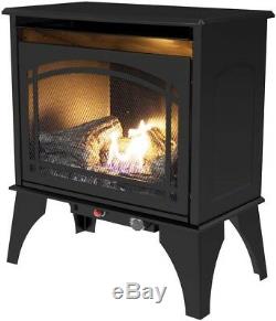 Freestanding Dual Fuel Stove Heater 20000 Btu Vent Free Natural Gas LP Fireplace
