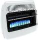 Gas Wall Heater 30,000 Btu Blue Flame Vent Free Lp Heats Up To 1,000 Sq. Ft