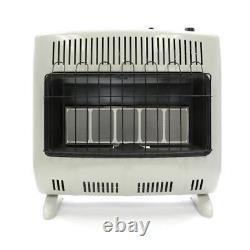 Heatstar 30000 Btu Vent Free Radiant Natural Gas Heater With Thermostat And B