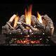 Heritage Char Vent Free 24 Gas Logs With Millivolt Control Ng