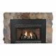 Insbrook Vent-free Ip 28000 Btu Fireplace Insert Natural Gas