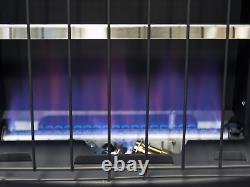 Liquid Propane Blue Flame Vent Free Ice House Heater with 10 ft. Propane Hose
