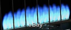Liquid Propane Gas Wall Heater 10000 BTU Vent Free Blue Flame Indoor Home Room