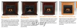 Monessen 24 Symphony Vent Free Gas Fireplace Traditional Millivolt Natural Gas