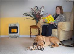Mr. Heater 10,000 BTU Vent Free Radiant Natural Gas Heater Shed Garage Home