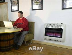 Mr. Heater 30,000 BTU Vent-Free Blue Flame Natural Gas Heater (1000 sq ft Range)