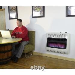 Mr. Heater 30,000 BTU Vent Free Blue Flame Natural Gas Indoor Safe Heater