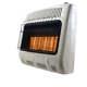 Mr Heater F299831 Vent-free 30k Btu Radiant Natural Gas Heater