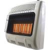 Mr. Heater Vent-free Natural Gas Radiant Wall Heater 30,000 Btu, 5-plaque