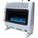 Mr. Heaters Mhvfb30lpt 30,000 Btu Vent Free Blue Flame Indoor Propane Gas Heater