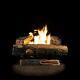 Natural Gas Fireplace Vent Free Log Set Heat Dual Burner Dancing Flames 24