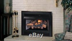 Natural Gas Vent-Free Fireplace Insert with Millivolt Control