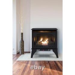 Pleasant Hearth Gas Stove 23.5 20,000-Btu Vent-Free Dual Fuel Compact Black