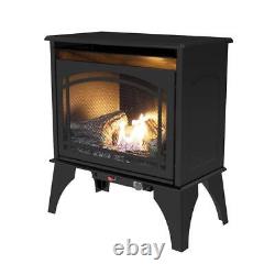 Pleasant Hearth Gas Stove 23.5 20,000-Btu Vent-Free Dual Fuel Compact Black