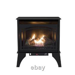 Pleasant Hearth Gas Stove 23.5 20,000-Btu Vent-Free Dual Fuel Compact Black