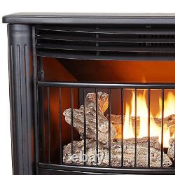 ProCom 25,000 BTU Dual Fuel Ventless Fireplace with Programmable Remote Control