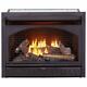 Procom 26,000 Btu Vent Free Dual Fuel Propane And Natural Gas Indoor Fireplace