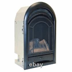 ProCom Dual Fuel Ventless Gas/Propane Fireplace Insert 10,000 BTU, PCS100T