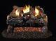 Real Fyre Evening Fyre Charred Vent-free Gas Logs (ecv-30), 30-inch (logs Only)