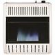 Remington 20000-btu Wall Or Floor-mount Natural Gas Vent-free Convection Heater
