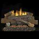 Stoney Ridge Vent Free 24 Gas Logs With Variable Control Ng