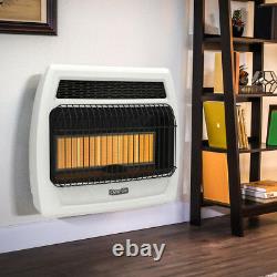 Thermostatic Wall Heater Dyna-Glo 30000 BTU Natural Gas Infrared Vent Free