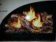Vent Free Dual Fuel Fireplace Logs Insert 24 Inch Natural Gas Or Propane