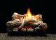 White Moutain Hearth 24 Flint Hill Log Set Millivolt Natural Gas With Remote