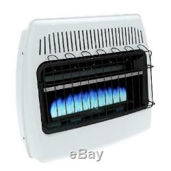 WILLIAMS Vent-Free Propane Blue-Flame Heater 20000 BTU 2076511.9