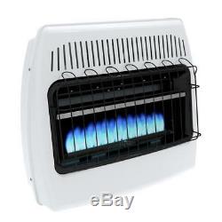 Williams Vent-Free Propane Blue-Flame Heater 2076511.9
